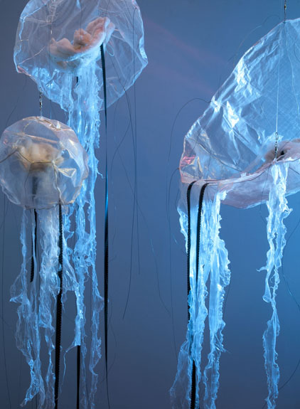 Jellyfish: Floating Memories