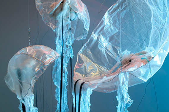 Jellyfish: Floating Memories