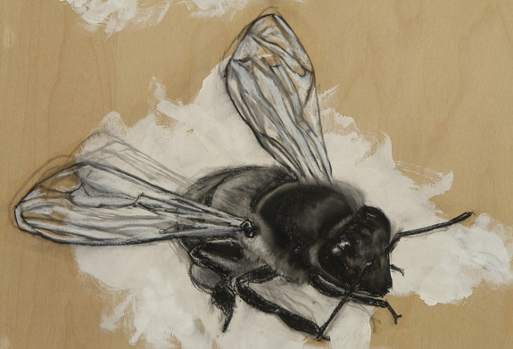 Quiero Ver (I Want to See)